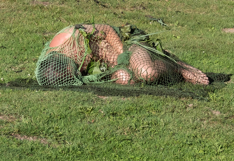 Die Kunst der Wahrnehmung